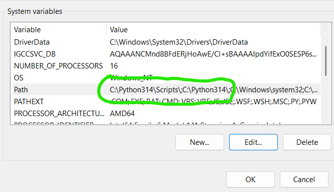 Python Environment Variables